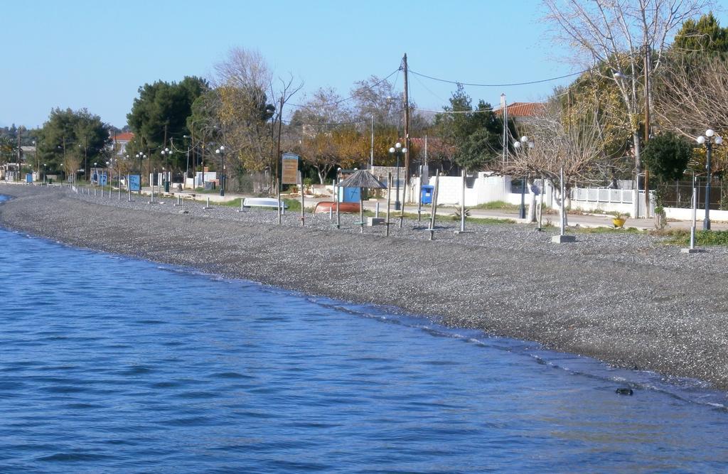Artemis - Marina Apartments Evia Oda fotoğraf