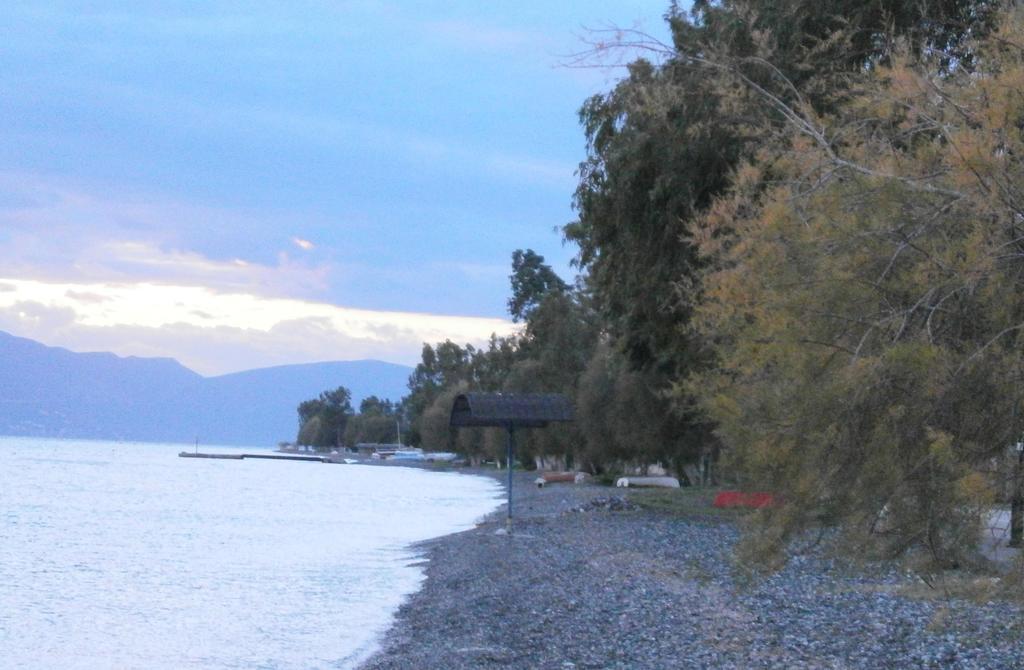 Artemis - Marina Apartments Evia Oda fotoğraf