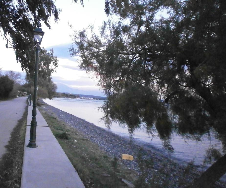 Artemis - Marina Apartments Evia Oda fotoğraf