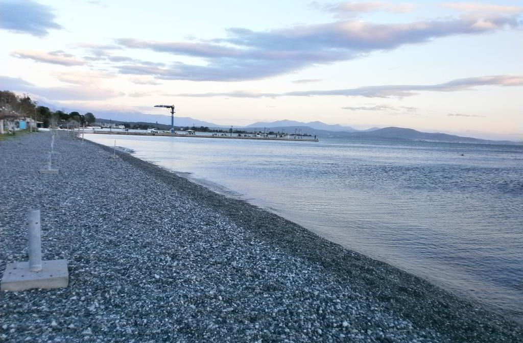 Artemis - Marina Apartments Evia Oda fotoğraf