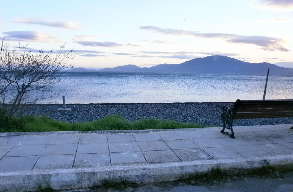 Artemis - Marina Apartments Evia Oda fotoğraf