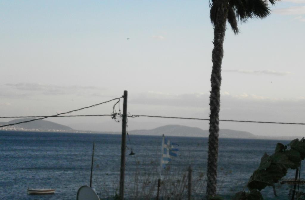 Artemis - Marina Apartments Evia Oda fotoğraf