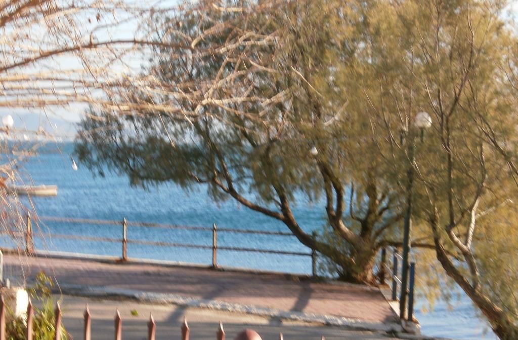 Artemis - Marina Apartments Evia Oda fotoğraf
