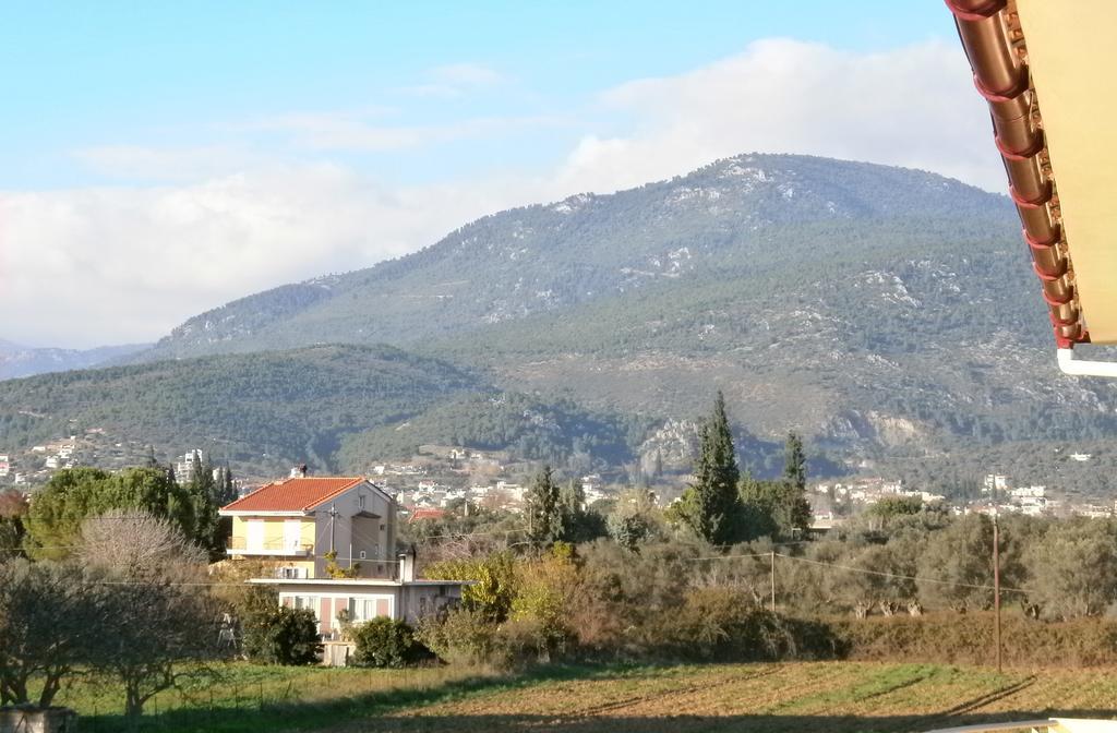 Artemis - Marina Apartments Evia Oda fotoğraf